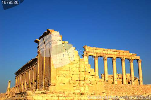 Image of Relics of Palmyra in Syria