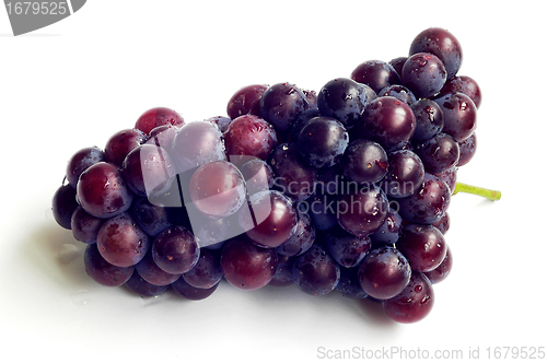 Image of Grape fruits