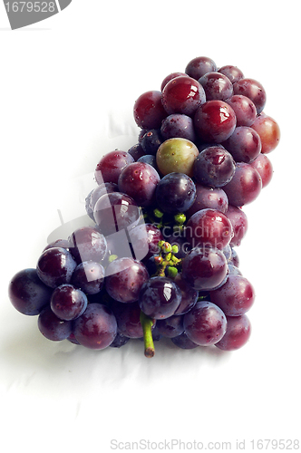 Image of Grape fruits