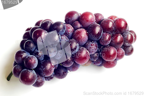 Image of Grape fruits