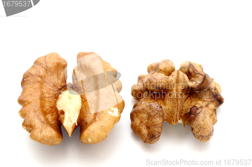 Image of walnut kernel