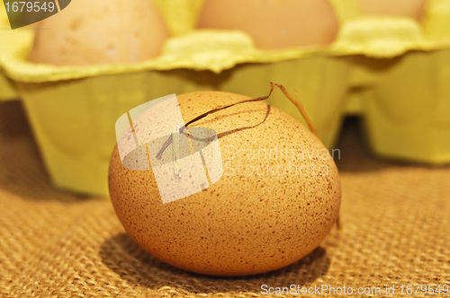 Image of egg