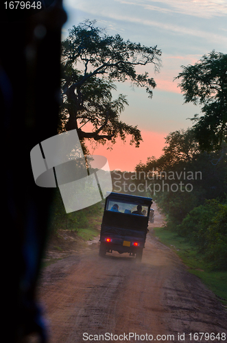 Image of Evening safari in the savanna