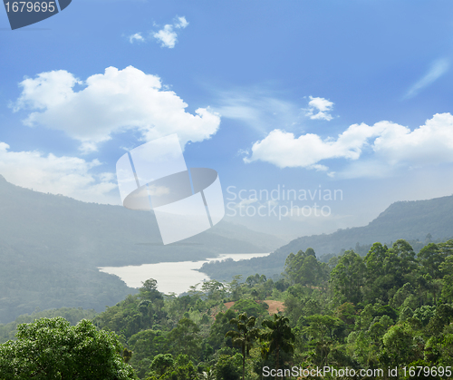 Image of magical landscape with tropical valley