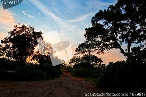 Image of Evening safari in the savanna