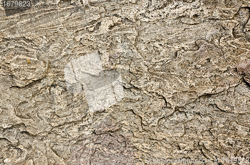 Image of surface of ancient volcanic rock
