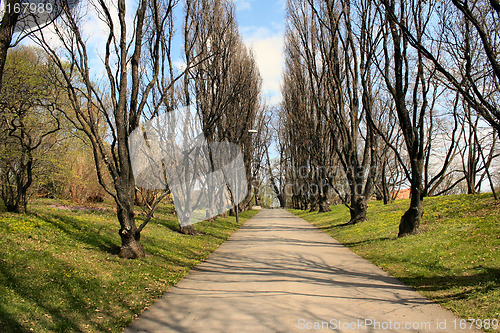 Image of A walk in the park