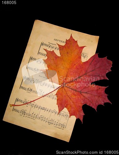 Image of Music and autumn leaf