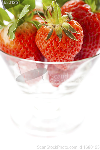 Image of Fresh strawberries