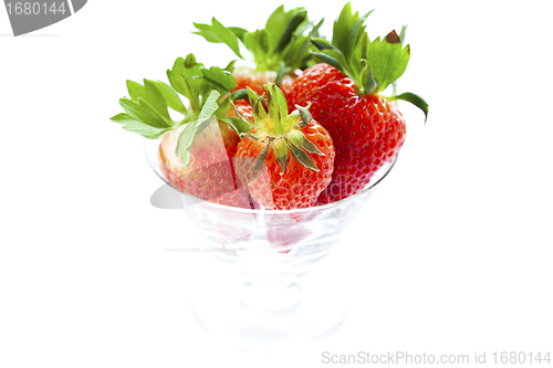 Image of Fresh strawberries