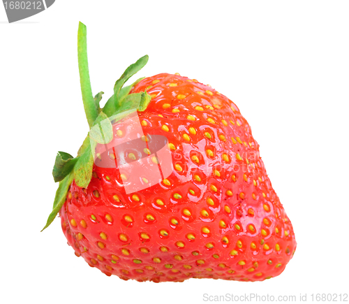 Image of Single fresh red strawberry