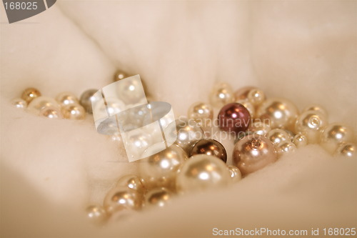 Image of Antic pearls