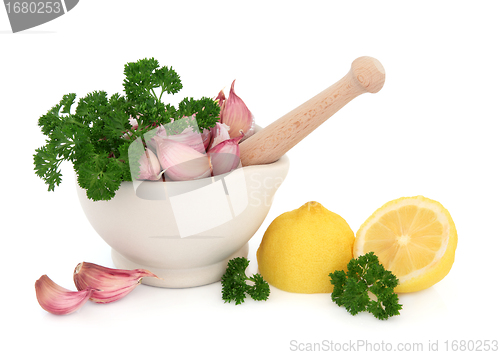 Image of Fresh Food Ingredients