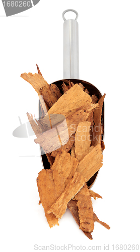 Image of Astragalus Root