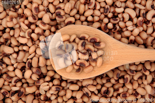 Image of Black Eyed Peas