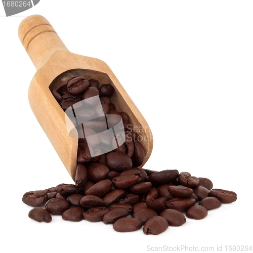 Image of Coffee Beans