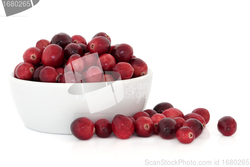 Image of Cranberries
