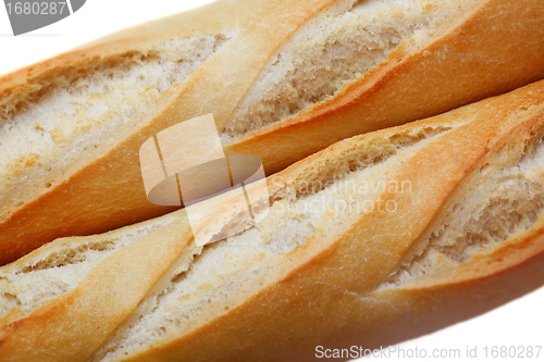 Image of Photo of a Baguette on white background 