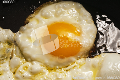 Image of fried egg