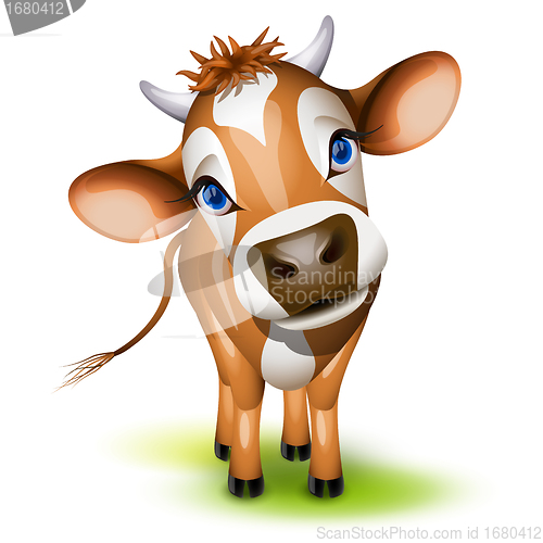 Image of Little jersey cow