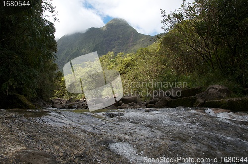 Image of Fast flowing river in tropical rainforest