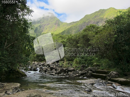 Image of Fast flowing river in tropical rainforest