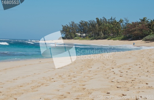 Image of surfer bay Hawaii