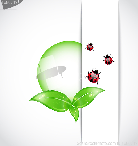 Image of ecological background with bubble, green leaves, ladybugs