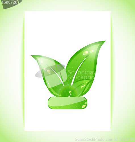Image of green nature leaves on sheet