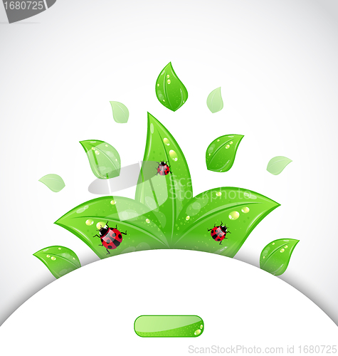 Image of business brochure template with green leaves and ladybugs