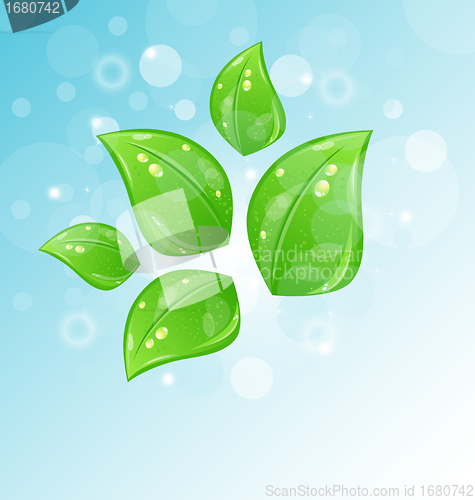 Image of nature background with set leaves