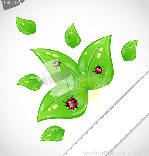 Image of Leaves with ladybugs sticking out of the cut paper
