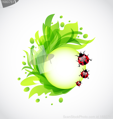 Image of Eco floral transparent background with ladybugs