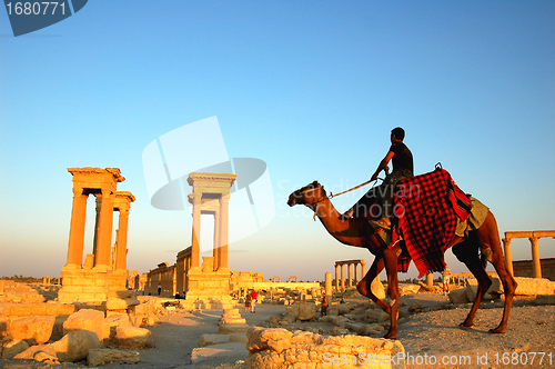 Image of Relics of Palmyra in Syria