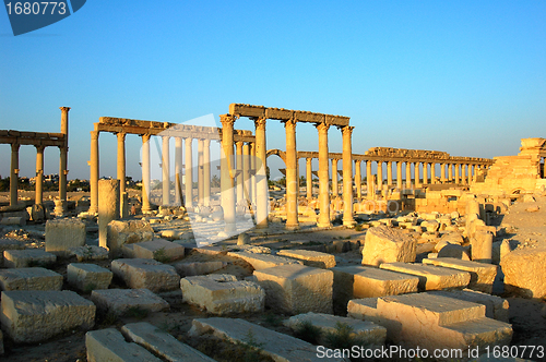 Image of Relics of Palmyra in Syria