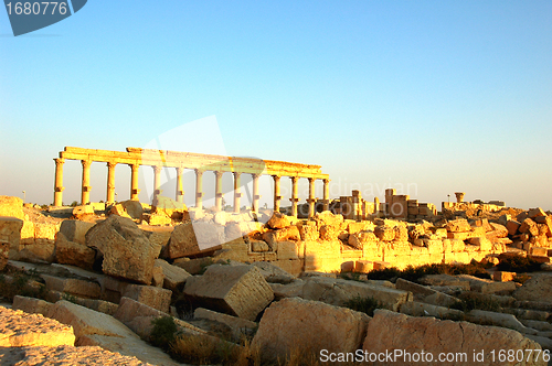 Image of Relics of Palmyra in Syria