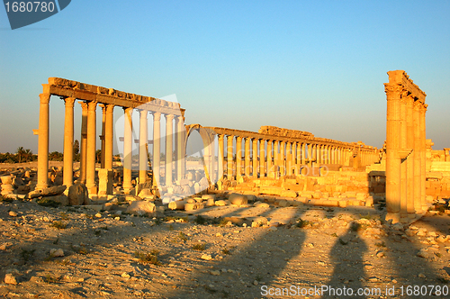 Image of Relics of Palmyra in Syria