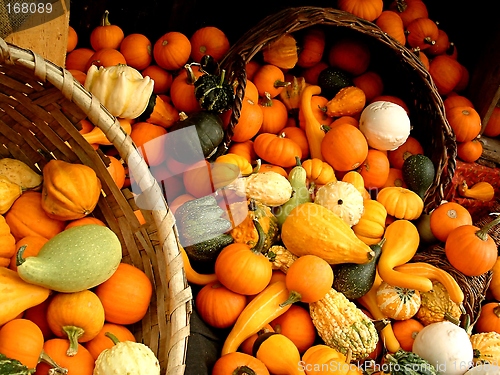 Image of Gourds