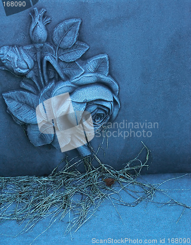 Image of Gravestone Rose