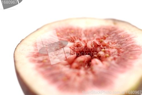 Image of fig fruit