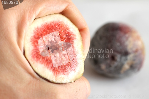 Image of fig fruits hand
