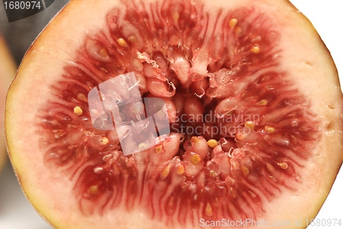 Image of fig fruits