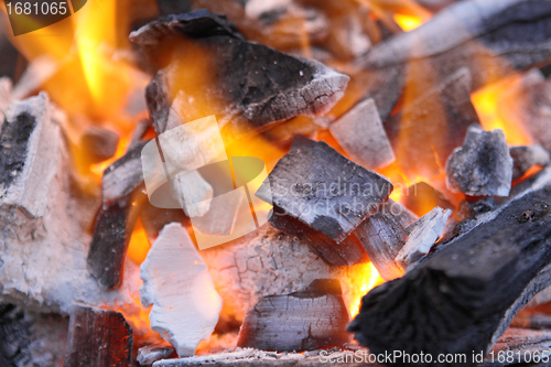 Image of Decaying red coals of a tree in a fire 