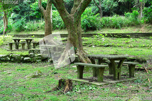 Image of Picnic place in forest