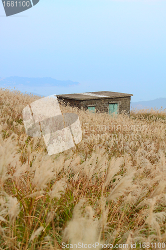 Image of old stone house with grass on the mountain 