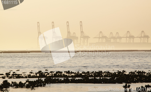 Image of container cranes on a foggy morning