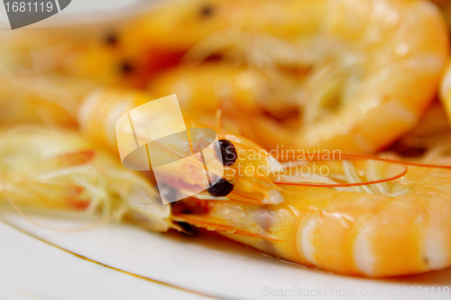 Image of shrimps