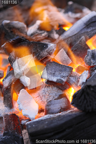 Image of Decaying red coals of a tree in a fire 