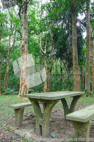 Image of Picnic place in forest