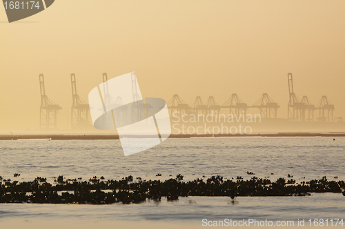 Image of container cranes on a foggy morning